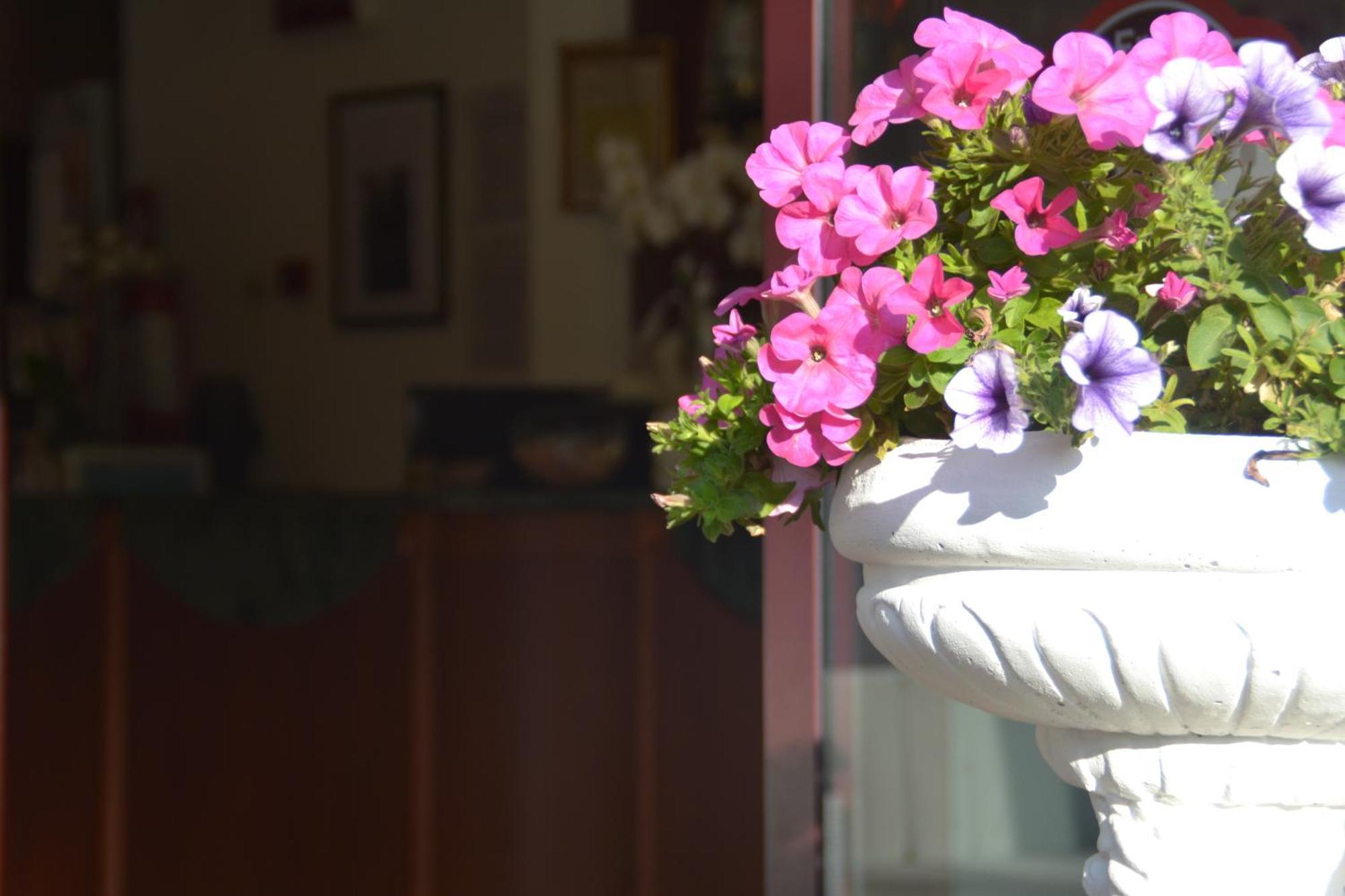 Hotel Bel Sogno Rimini Dış mekan fotoğraf