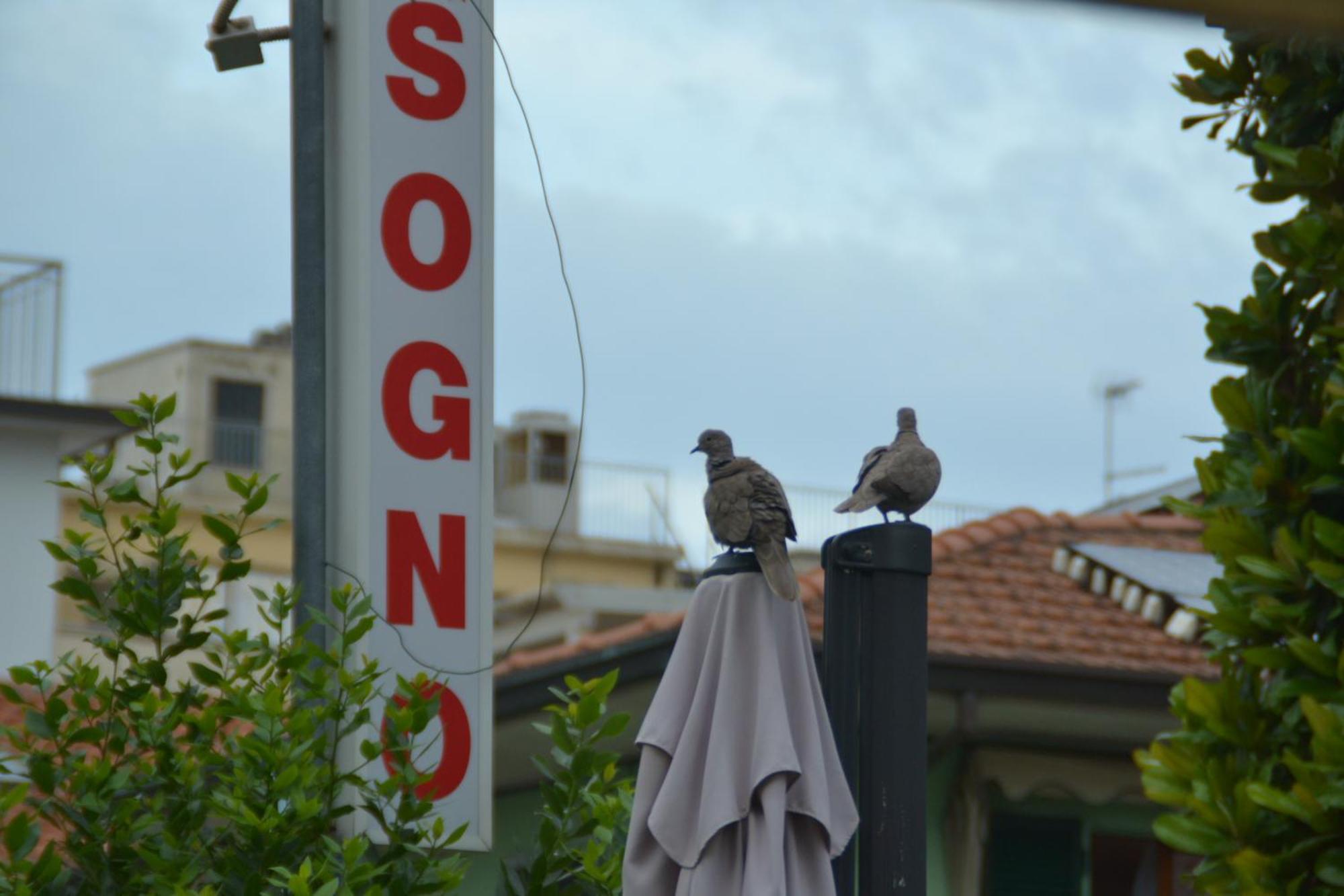 Hotel Bel Sogno Rimini Dış mekan fotoğraf